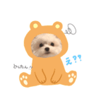 まかといっしょ！（個別スタンプ：1）