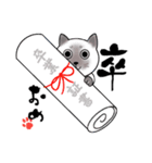 シャム猫たくさんのおめでとうスタンプ♪（個別スタンプ：3）