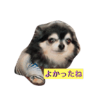 リキコリキ3（個別スタンプ：7）