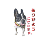 フレブルまりんさん（個別スタンプ：14）