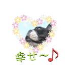 フレブルまりんさん（個別スタンプ：21）