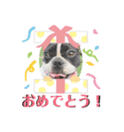 フレブルまりんさん（個別スタンプ：23）