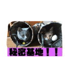 グリ．キチスタンプ（個別スタンプ：5）
