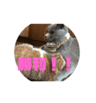 グリ．キチスタンプ（個別スタンプ：6）