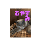 グリ．キチスタンプ（個別スタンプ：8）