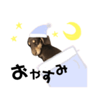 ダックスのつくねさん（個別スタンプ：14）