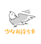 オカメインコのおこめです。（個別スタンプ：10）