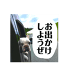 ジャンダルム（個別スタンプ：2）