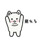 かわいい子犬のサモ（個別スタンプ：8）