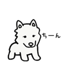 かわいい子犬のサモ（個別スタンプ：16）