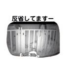 ツインズトーク日常（個別スタンプ：20）