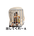 ツインズトーク日常（個別スタンプ：31）