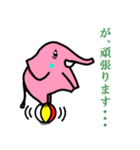ゾウのピンくん（個別スタンプ：22）