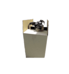 今日もりんのすけ（個別スタンプ：7）