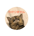 悪顔よし子のスタンプ（個別スタンプ：3）
