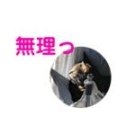 悪顔よし子のスタンプ（個別スタンプ：19）