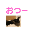 悪顔よし子のスタンプ（個別スタンプ：21）