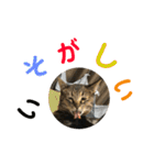悪顔よし子のスタンプ（個別スタンプ：24）