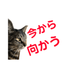 悪顔よし子のスタンプ（個別スタンプ：26）
