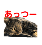 悪顔よし子のスタンプ（個別スタンプ：28）