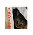 悪顔よし子のスタンプ（個別スタンプ：30）