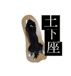 ぺっぺのまいにち（個別スタンプ：7）