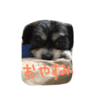 ぺっぺのまいにち（個別スタンプ：8）