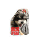 ぺっぺのまいにち（個別スタンプ：14）