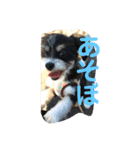 ぺっぺのまいにち（個別スタンプ：15）
