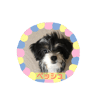 ぺっぺのまいにち（個別スタンプ：16）