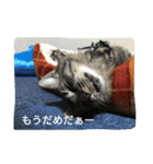 ポコペコの日常1（個別スタンプ：2）