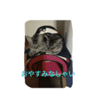 ポコペコの日常1（個別スタンプ：4）