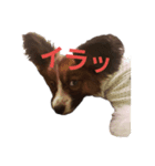 音と楽⑦(楽only)（個別スタンプ：2）