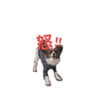 音と楽⑦(楽only)（個別スタンプ：5）