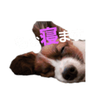 音と楽⑦(楽only)（個別スタンプ：6）