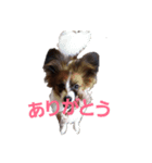 音と楽⑦(楽only)（個別スタンプ：8）