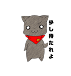 スカーフ猫（個別スタンプ：5）