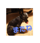 アル 日常編（個別スタンプ：16）