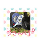 黒うさぎさん2（個別スタンプ：1）