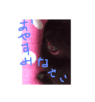 黒うさぎさん2（個別スタンプ：2）
