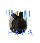 黒うさぎさん2（個別スタンプ：3）
