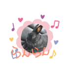 黒うさぎさん2（個別スタンプ：6）