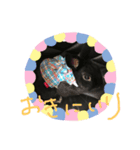 黒うさぎさん2（個別スタンプ：8）