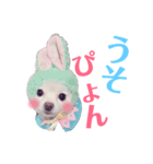 すんすーのスタンプ作ってみました！（個別スタンプ：9）