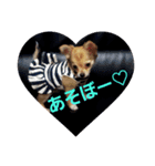 愛犬ぱぴ＆ぺこ①（個別スタンプ：2）
