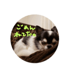 ちょぼこ2（個別スタンプ：5）
