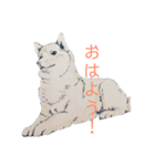 動物絵シリーズ（個別スタンプ：1）