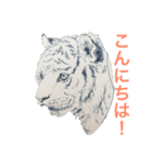 動物絵シリーズ（個別スタンプ：2）