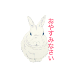 動物絵シリーズ（個別スタンプ：4）