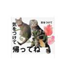 気ままな猫達0と花（個別スタンプ：14）